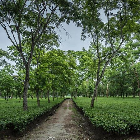 Hotel Tusker Tea County Chālsa Exteriér fotografie