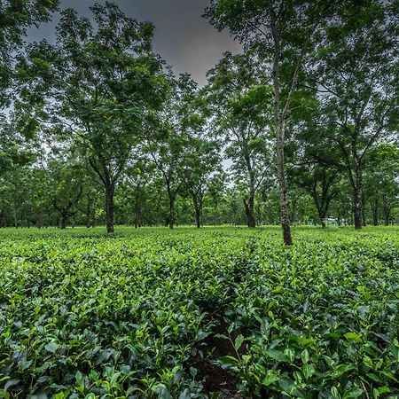 Hotel Tusker Tea County Chālsa Exteriér fotografie