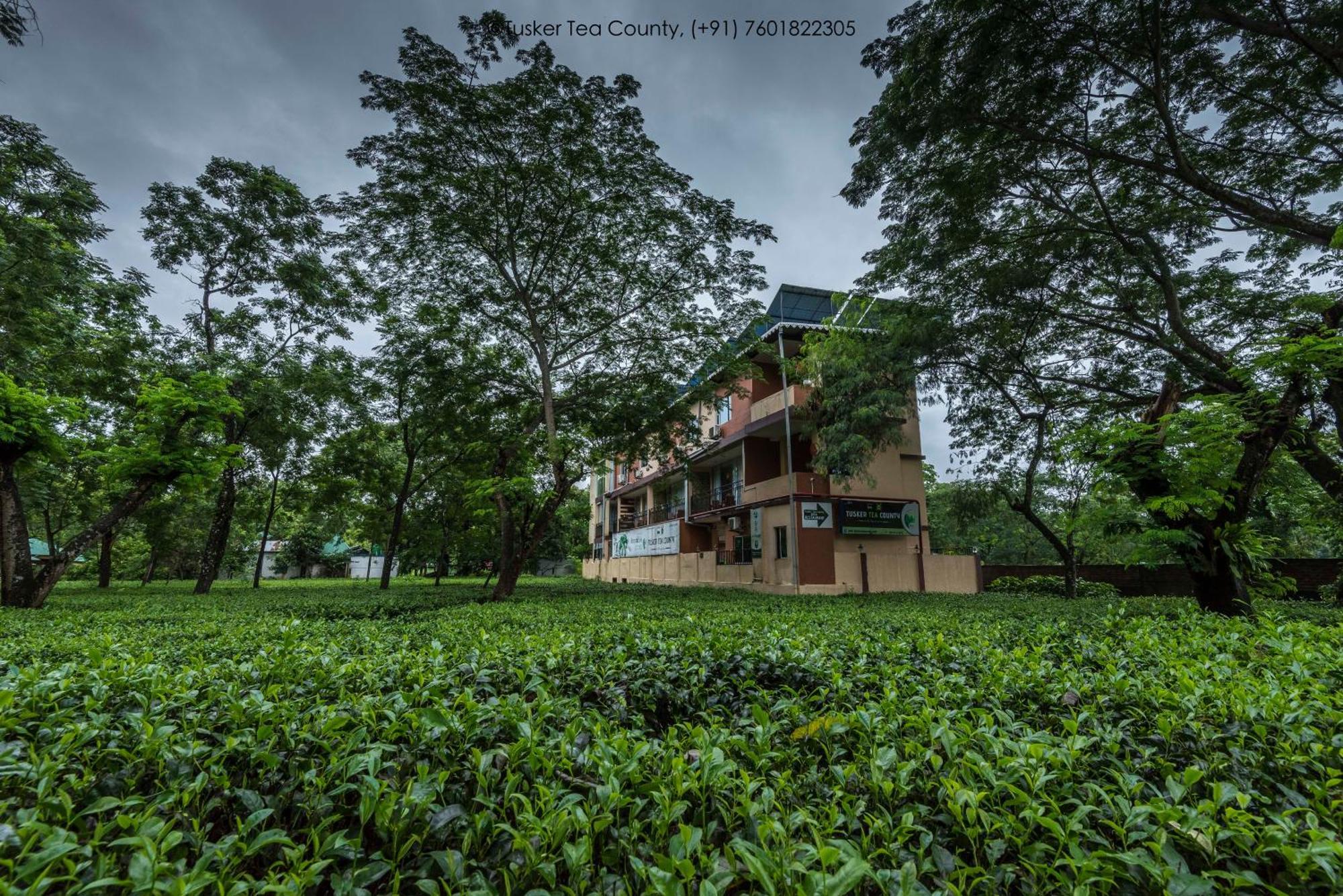 Hotel Tusker Tea County Chālsa Exteriér fotografie